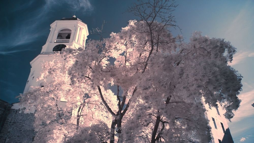 Photograph by Andrey Lesnik