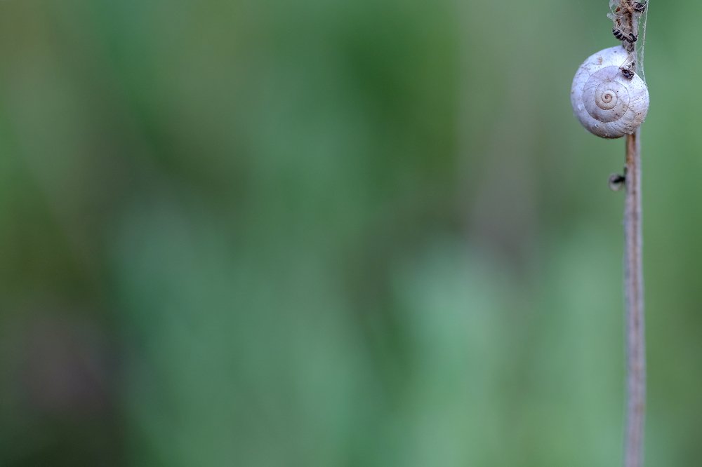 Фотография автора vladimir algazin