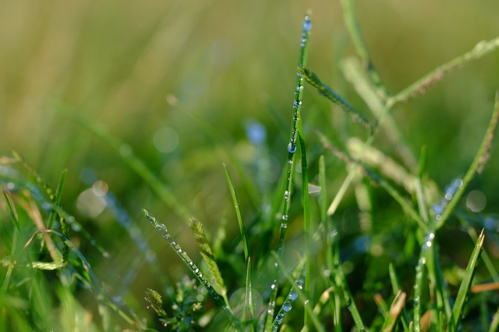 Фотография автора vladimir algazin