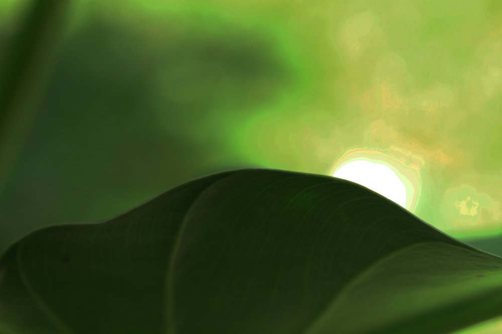 Фотография автора Tutang Hermawan (+62)812 2072-43 Asep