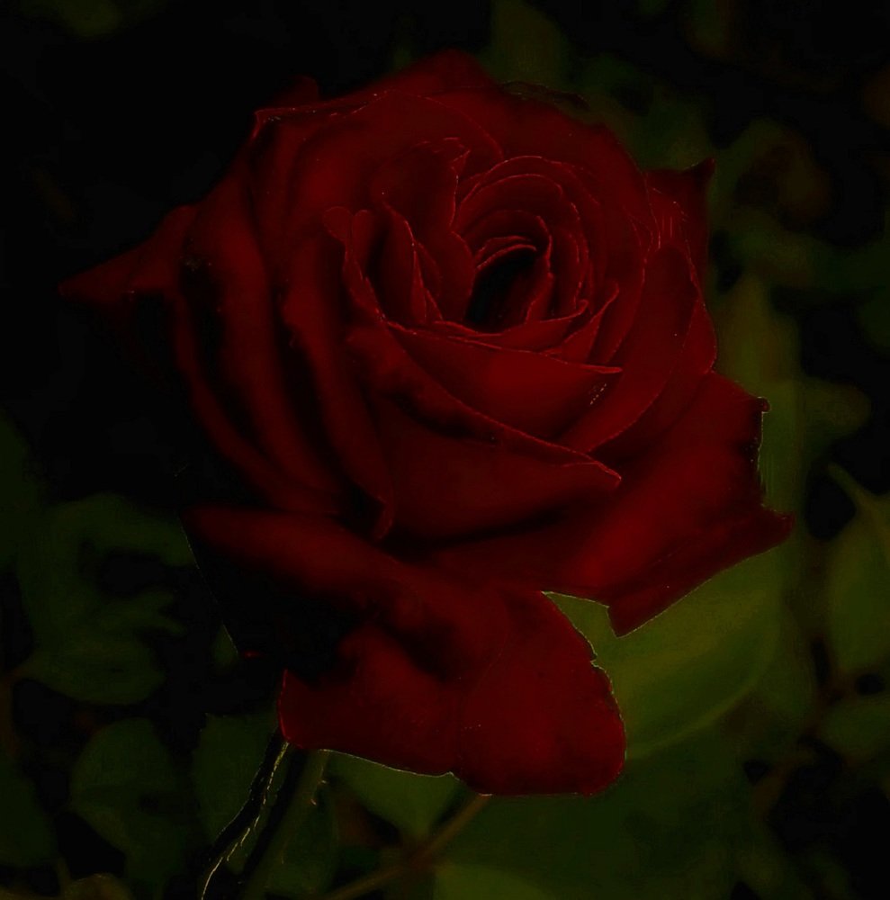 Photograph by Алия Байсыкова