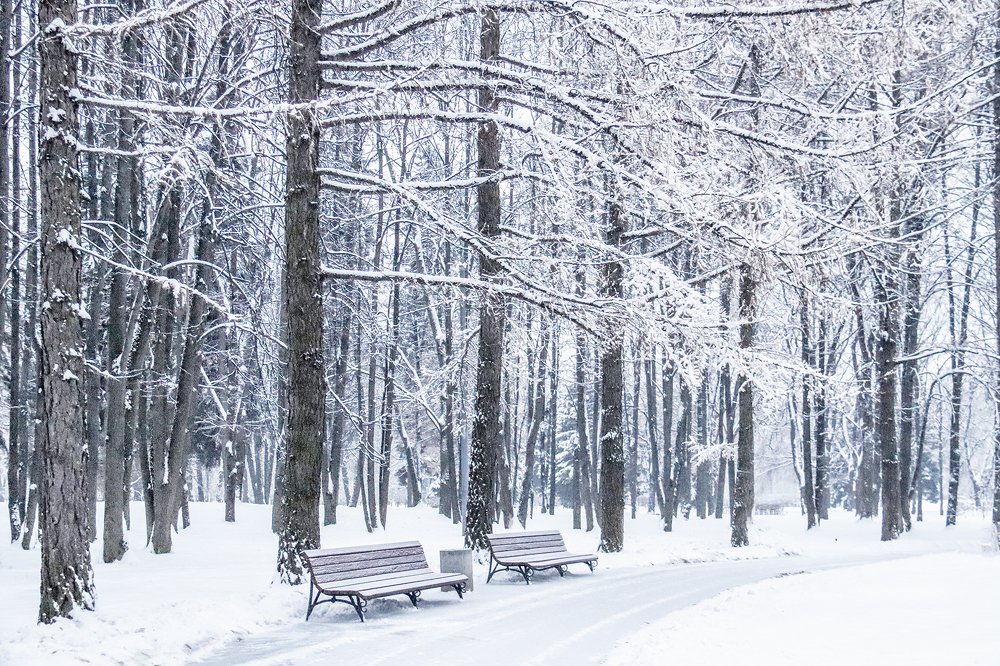 Photograph by Лариса Рулёва