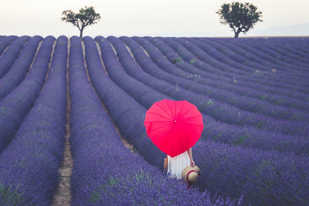 Photograph by Anja Mueller