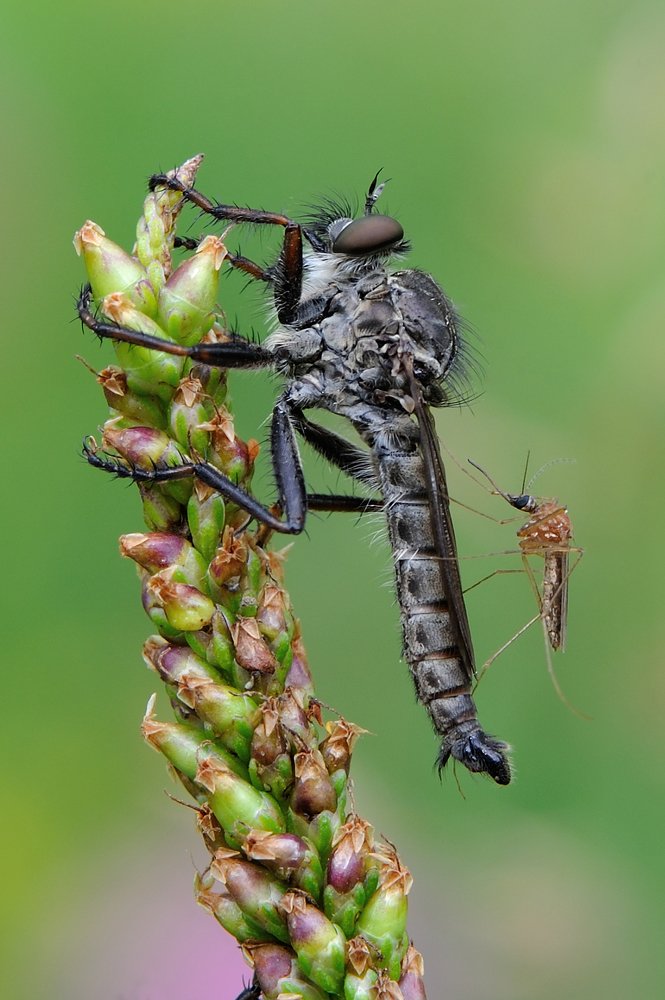 Супернаглость.