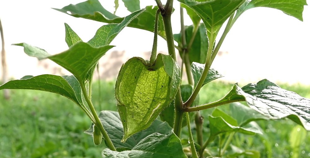 Фотография автора Валентина Гундарева
