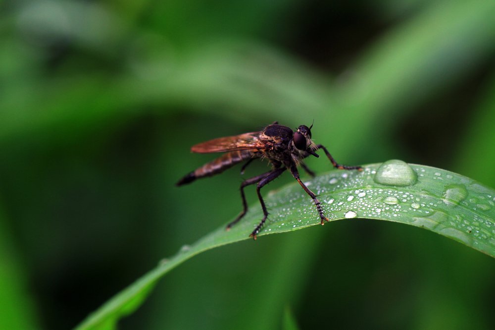 Фотография автора Tutang Hermawan (+62)812 2072-43 Asep