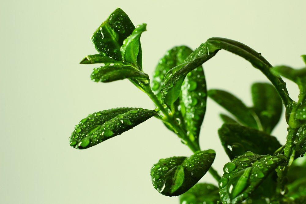 Фотография автора Геннадий Титов