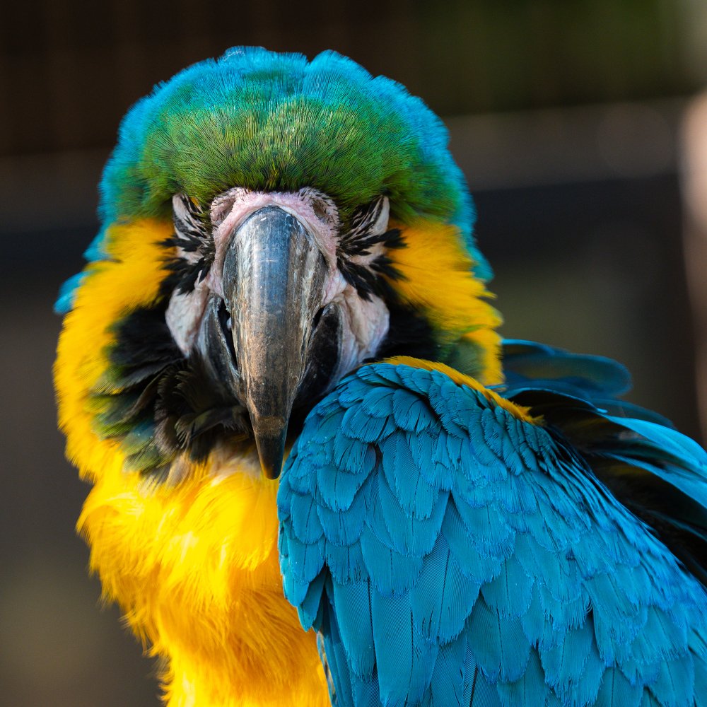 Photograph by Photons Reflectitur