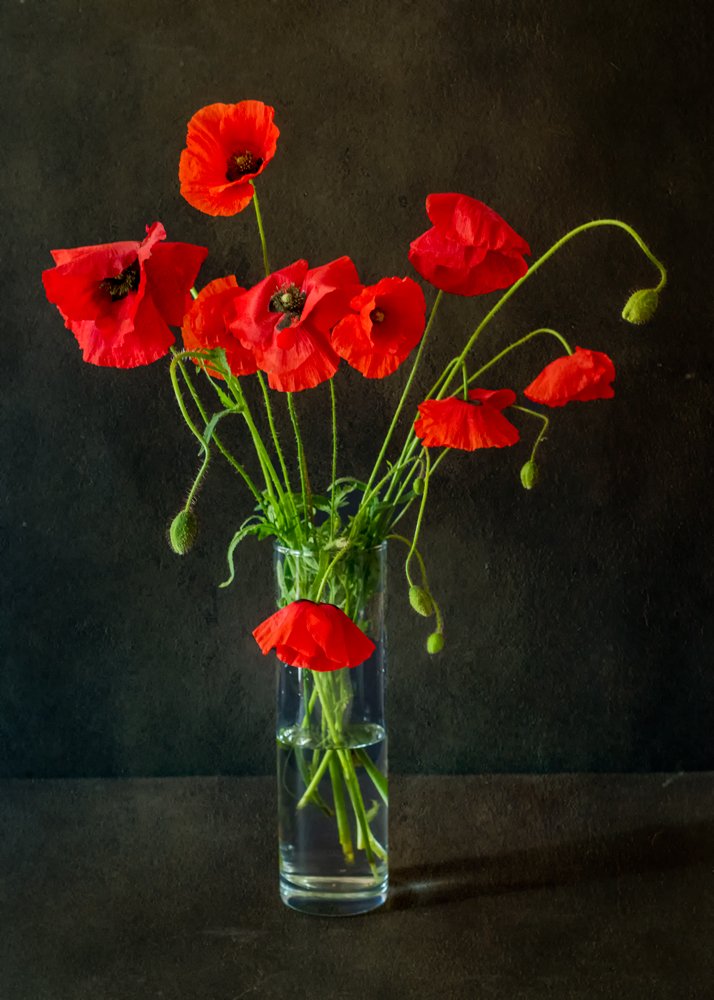 Photograph by Сергей Киселев