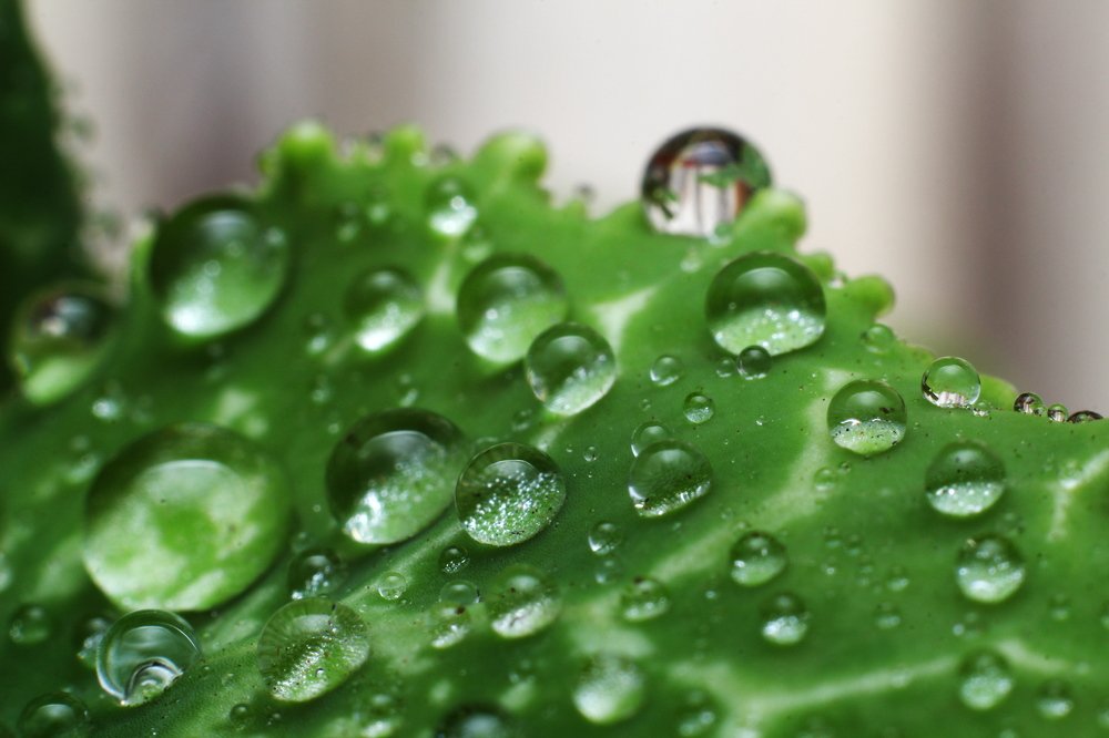 Фотография автора Геннадий Титов