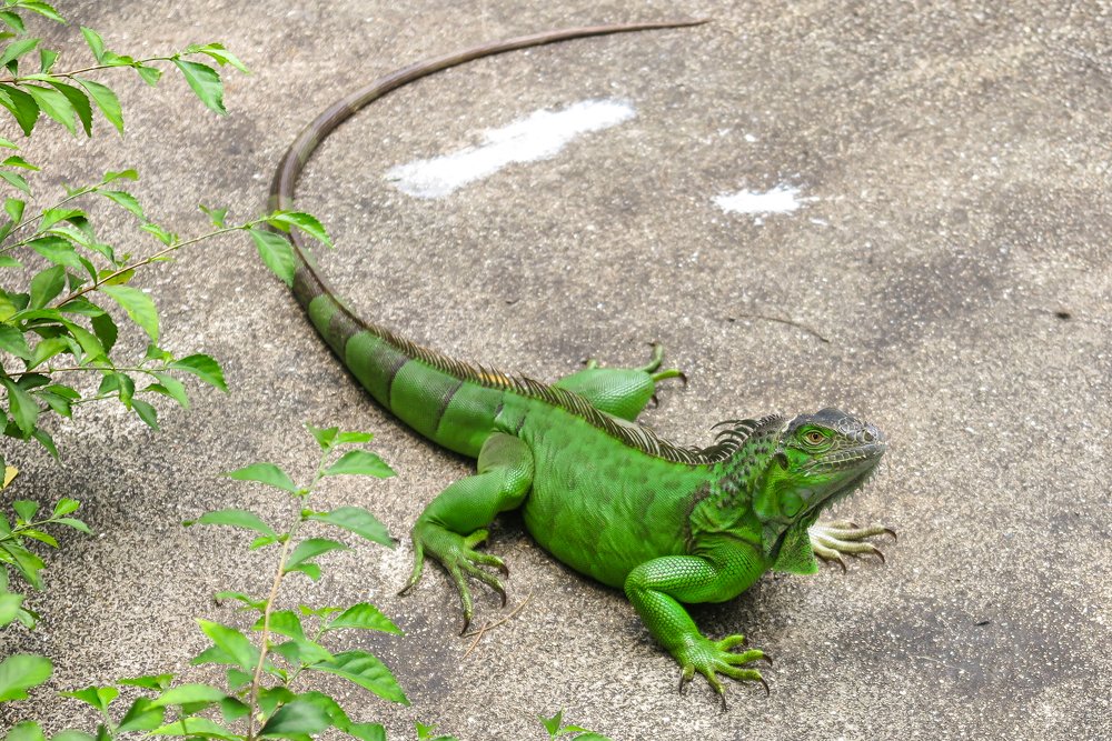 Photograph by Evgeniia Iakimenko