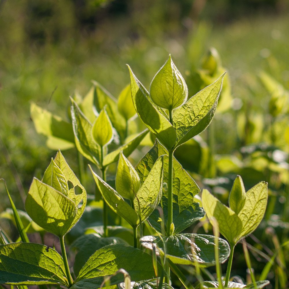 Photograph by Ирина Яук