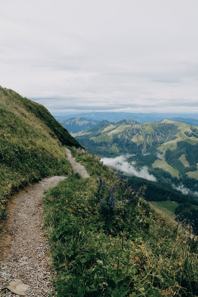 Photograph by Софья Никитченко