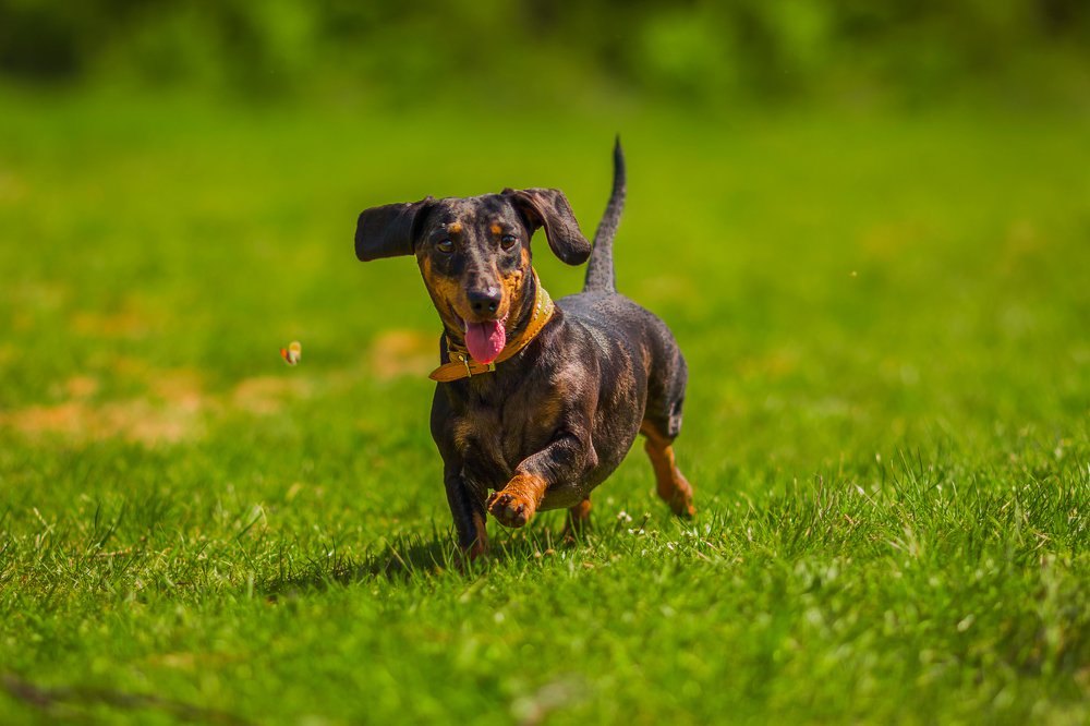 Photograph by Чмиль Валерия