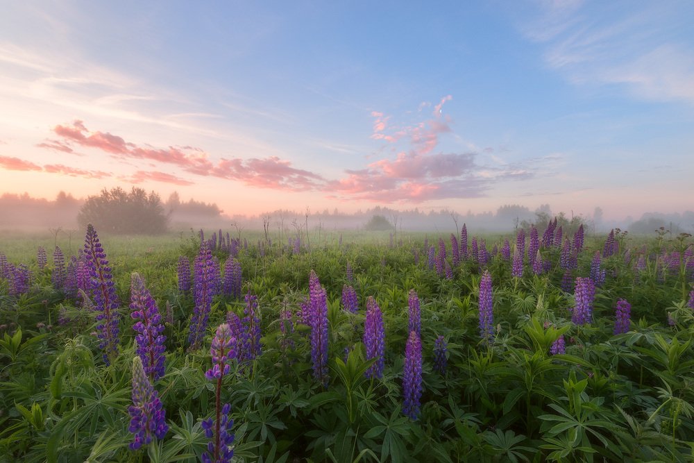 Фотография автора Сергей Овчинников
