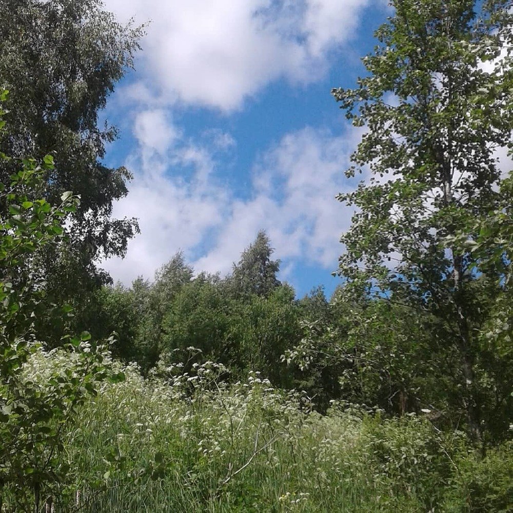 Photograph by Gaiduchenko Lubov
