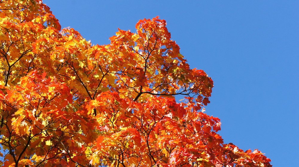 Photograph by Евгений Устинов