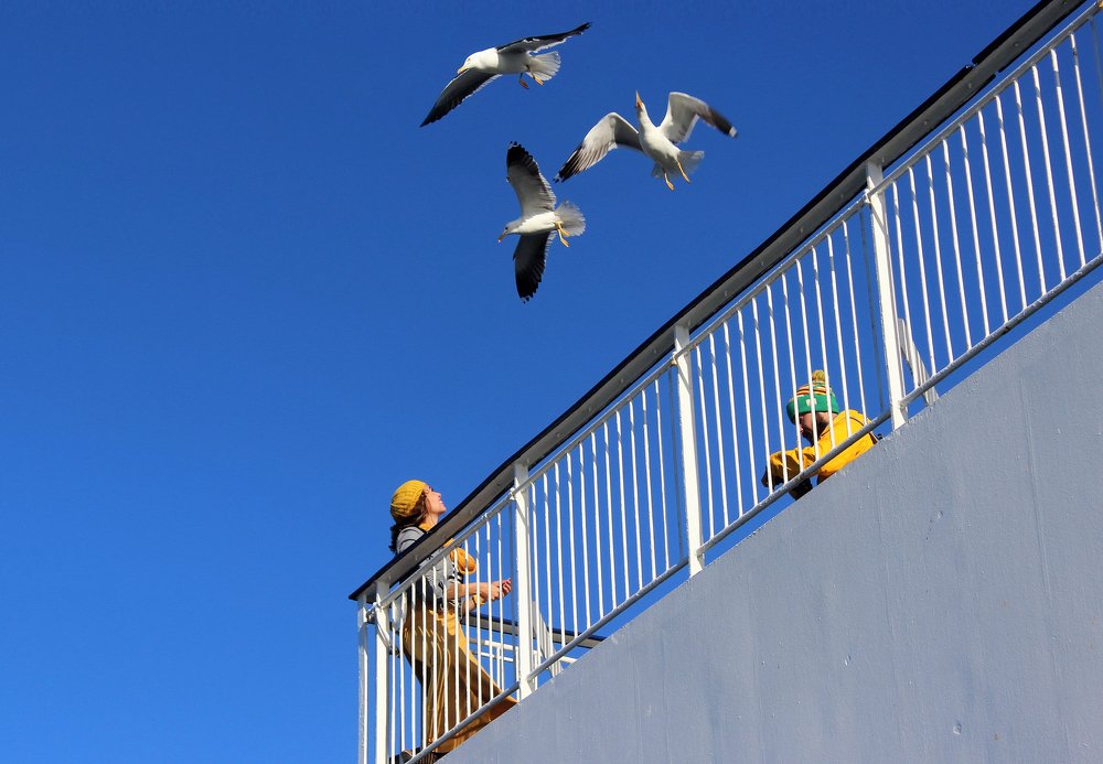 Photograph by ирина лебедева