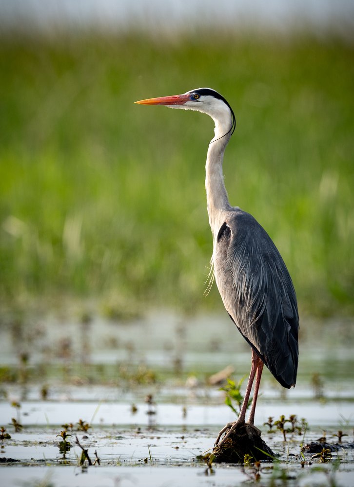 Photograph by Iuliana Luca