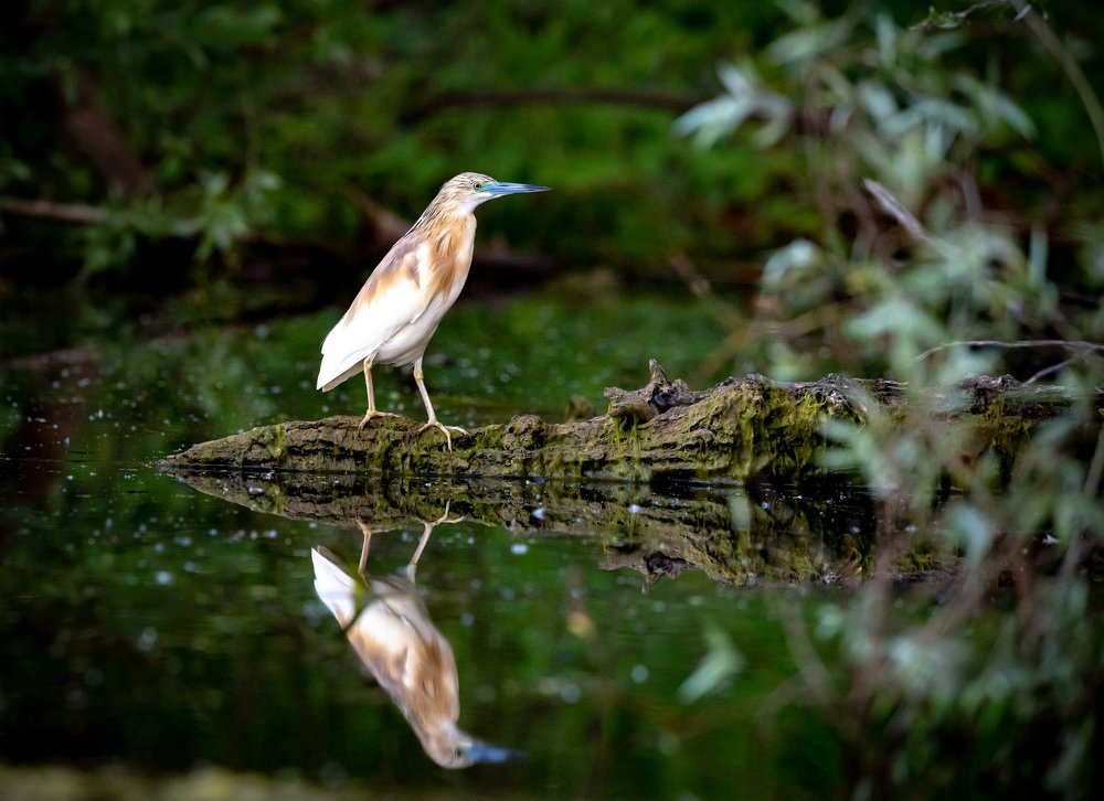 Photograph by Iuliana Luca