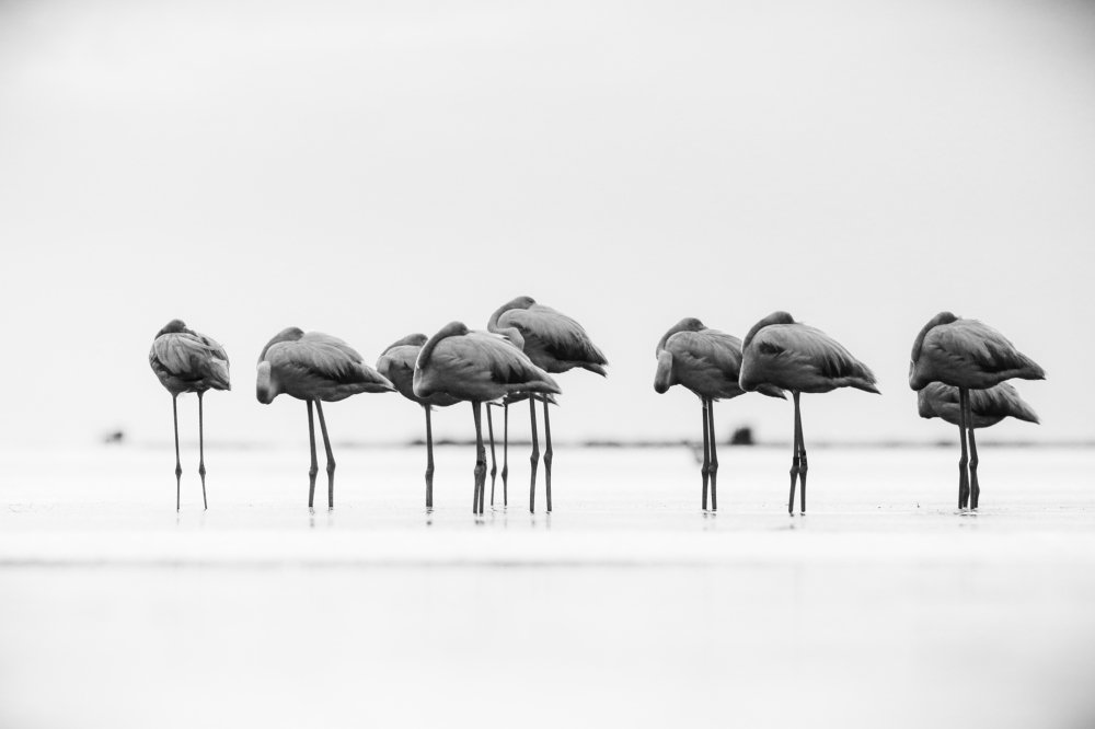 Photograph by Piotr Warzecha