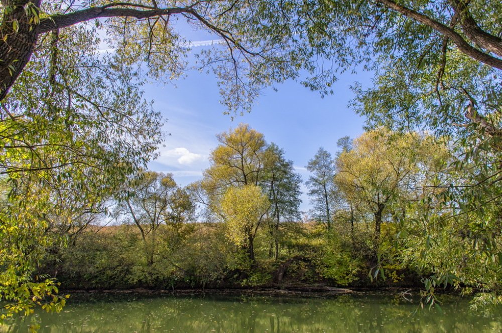 Осенняя река