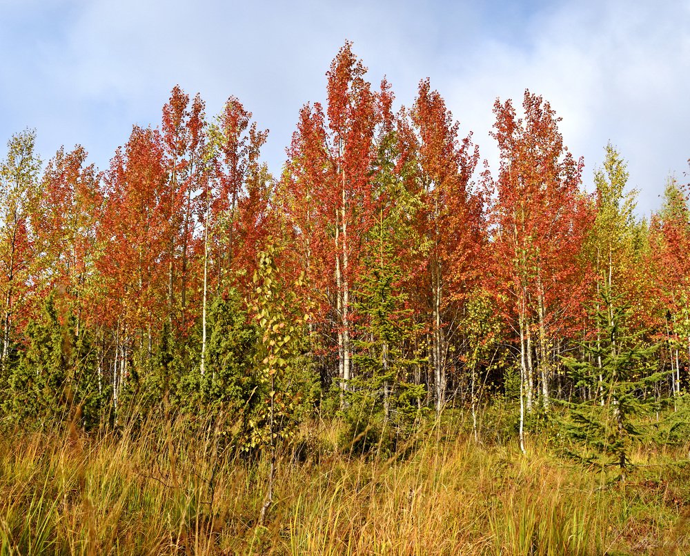 Photograph by Илья Сандлер