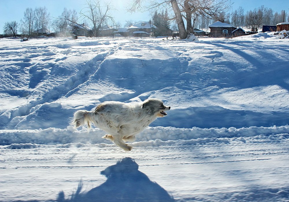 Кто, быстрей !?!...