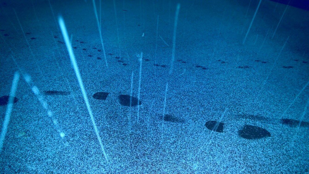 Мы шли втроëм