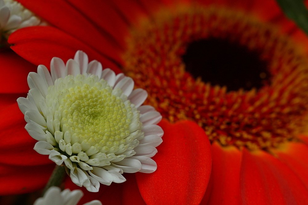 Фотография автора Геннадий Титов