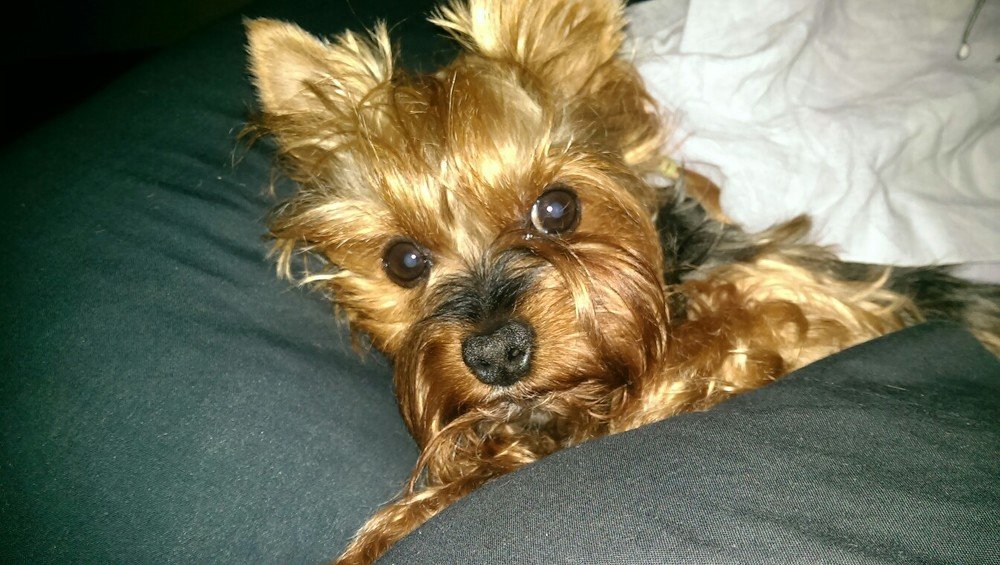 Photograph by Евгения Белоцветова