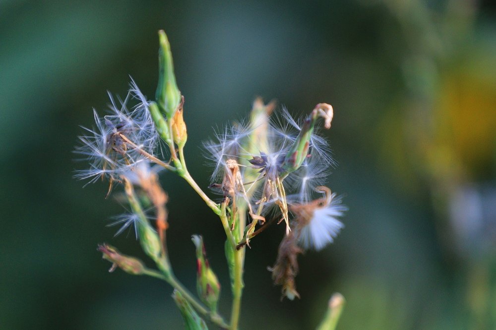 Photograph by Яна Велижанина