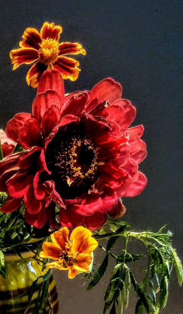 Photograph by Ольга Велитченко