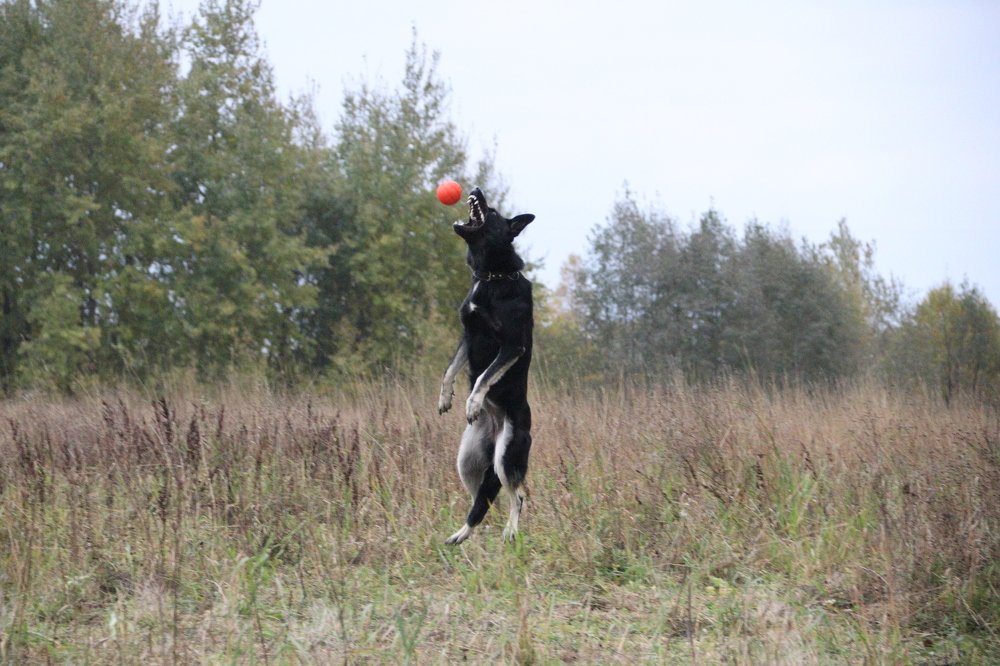 Photograph by Andrey Lesnik