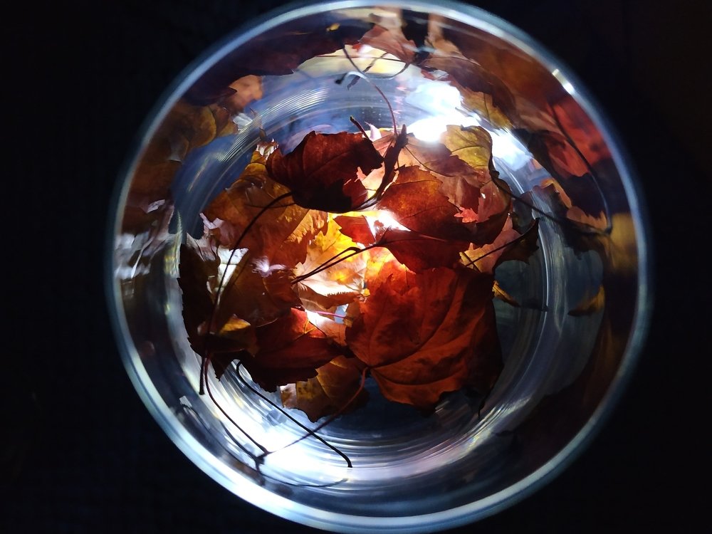 Photograph by Екатерина Харитонова