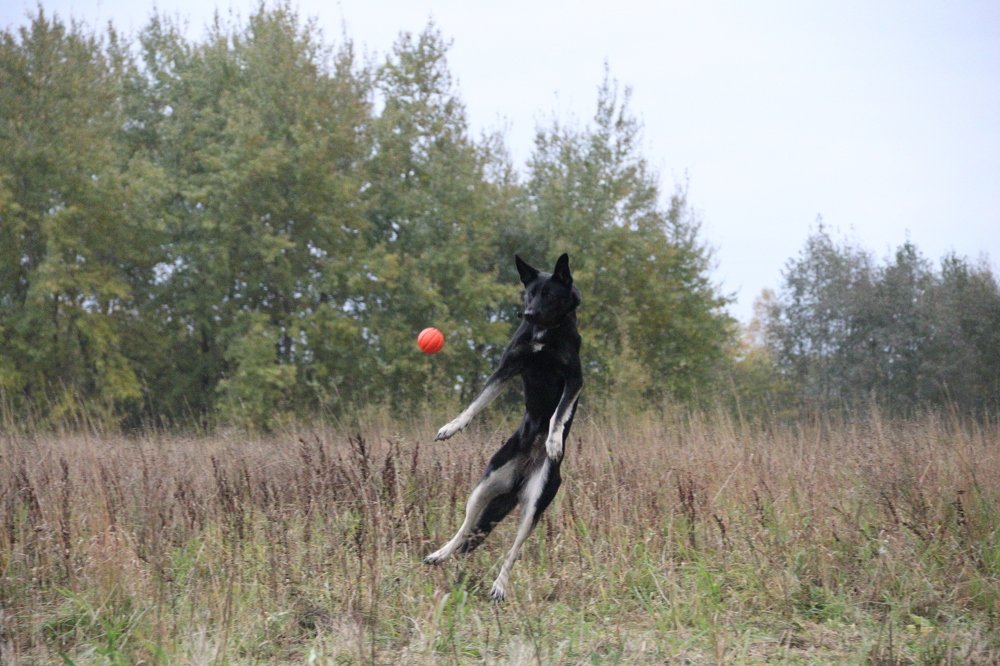 Photograph by Andrey Lesnik