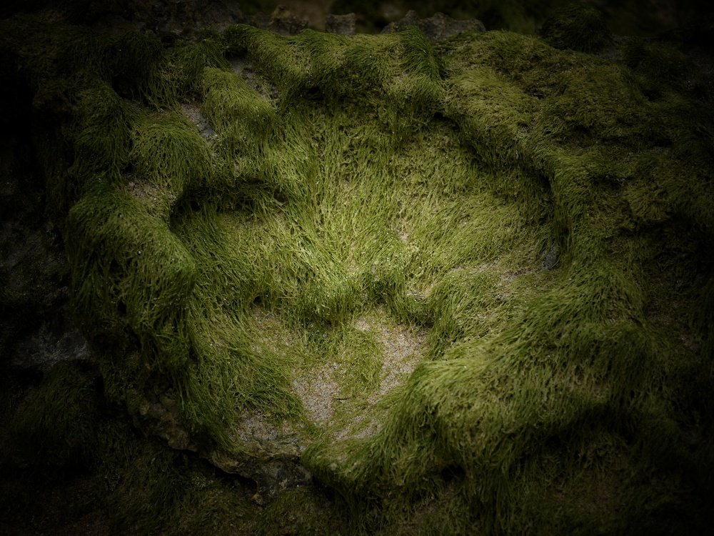 Photograph by José Ramón Domínguez