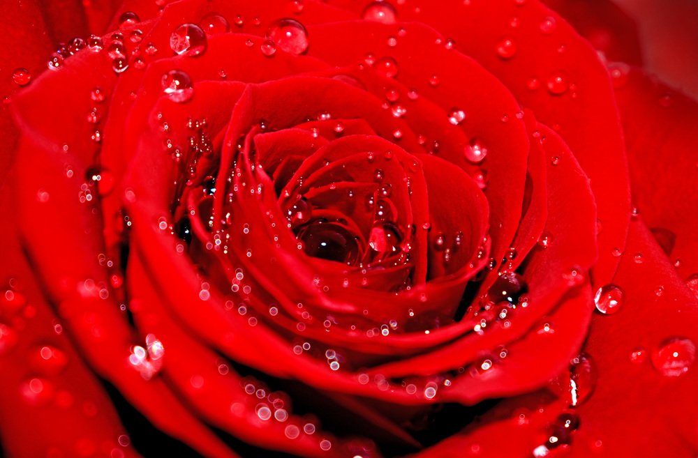 Photograph by Илья Сандлер