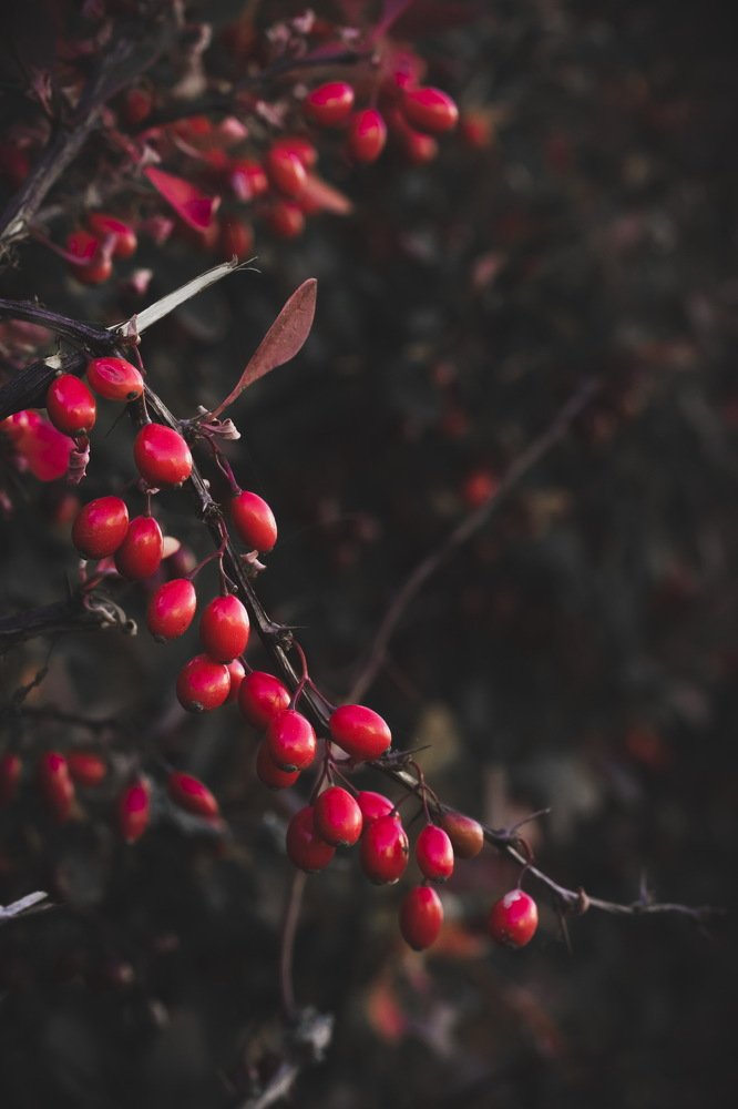 Фотография автора Lujza Stoklas