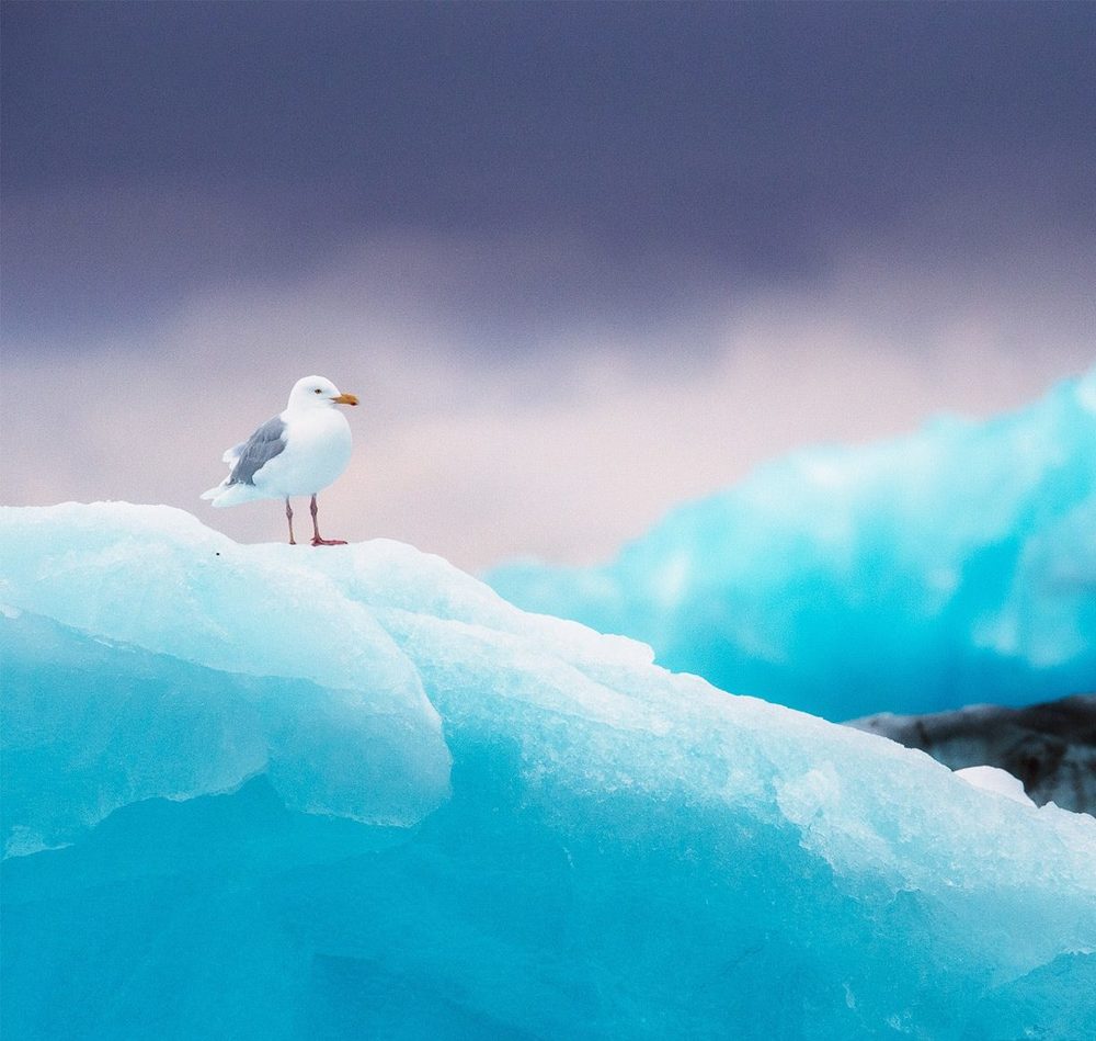 Photograph by Ольга Рогова