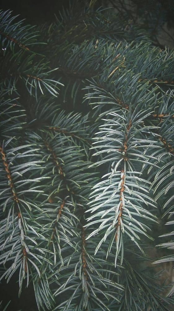 Photograph by Юрий Клёнов