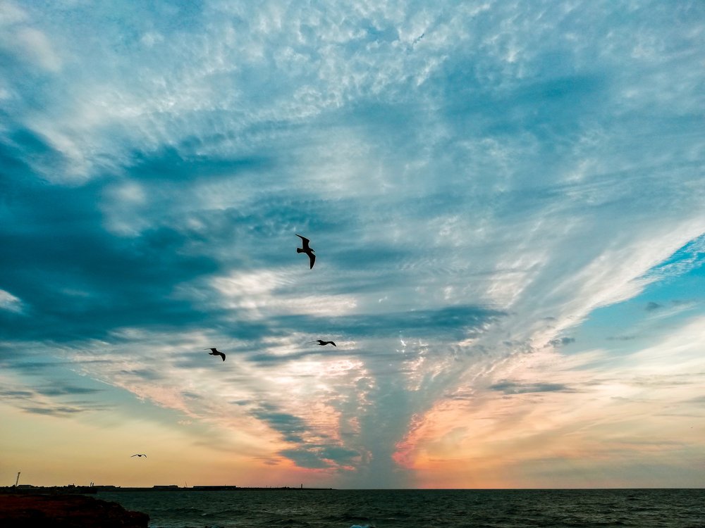 Photograph by Михаил Курихин