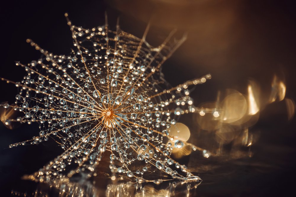 Photograph by Марина Багрова