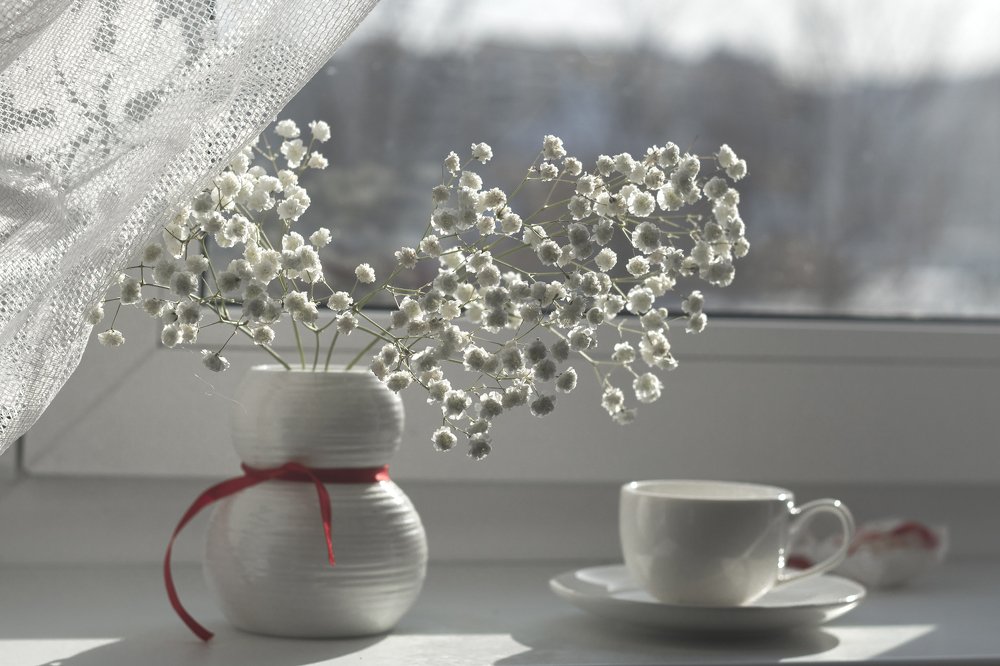 Photograph by Светлана Давыдова