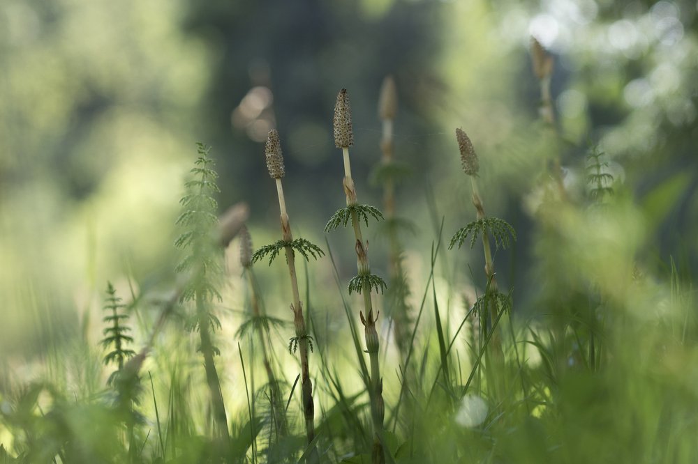 Photograph by Светлана Давыдова