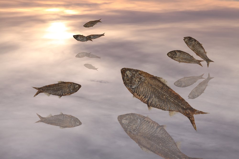 Photograph by Yng-Jaw Jiing