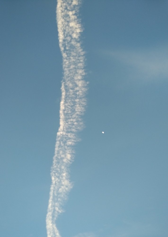 Photograph by Alfred Arnold