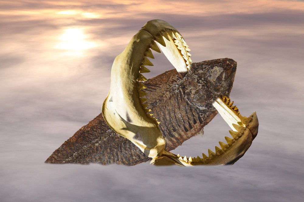 Photograph by Yng-Jaw Jiing