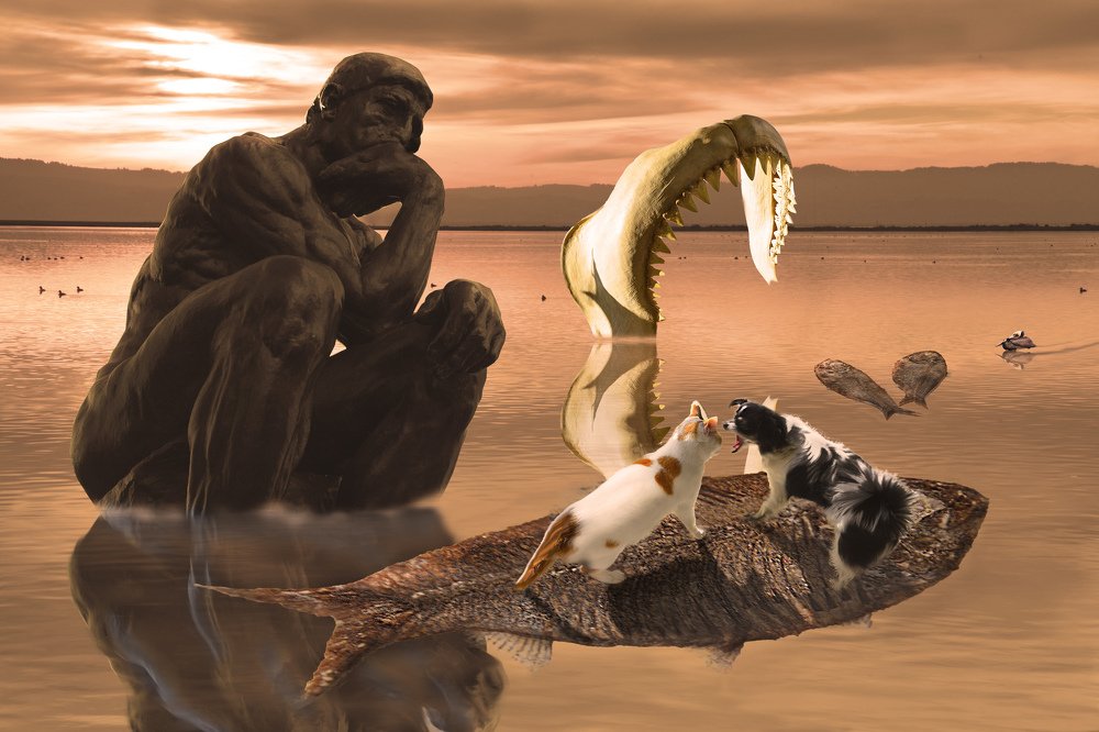 Photograph by Yng-Jaw Jiing