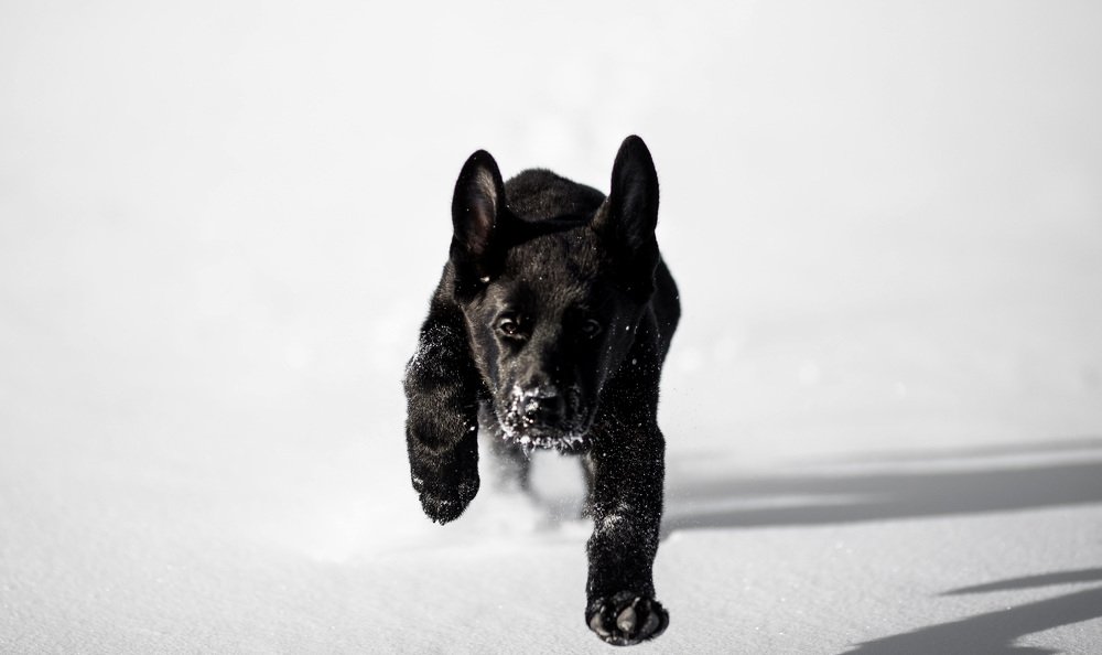 Photograph by Юлия Наволоцкая